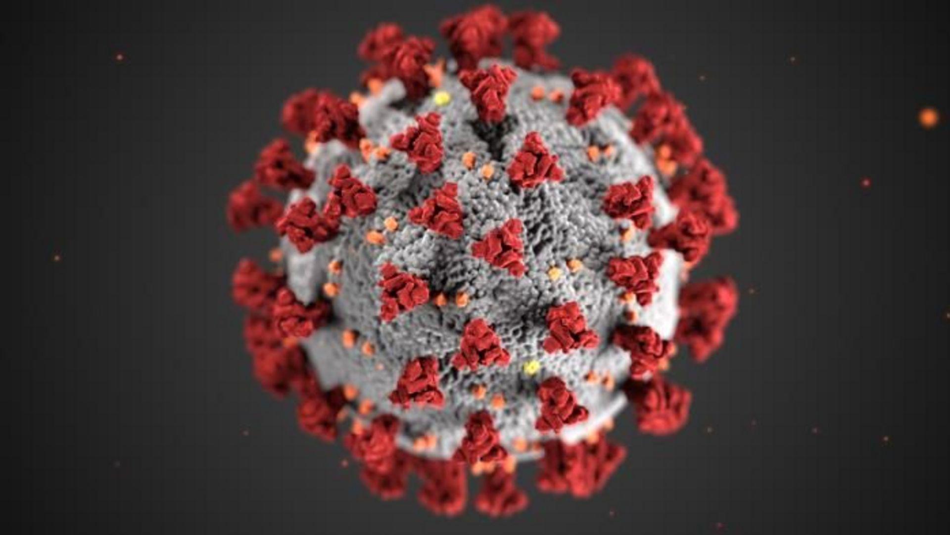 COVID-19 mega-outbreak in Donnacona RPA